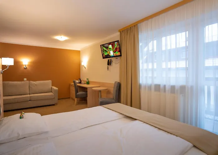 Guest house Carmen 3*